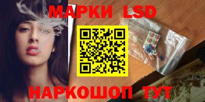 твердый Новозыбков
