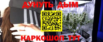 твердый Новозыбков