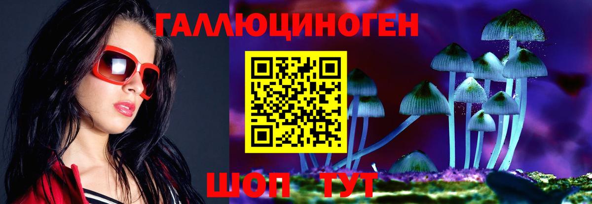 Галлюциногенные грибы мицелий  Вход с VPN  Псилоцибиновые грибы Psilocybine cubensis  Соль-Илецк 
