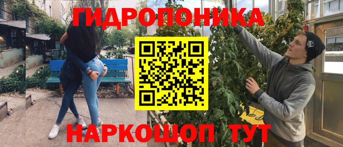 Каннабис гибрид Соль-Илецк